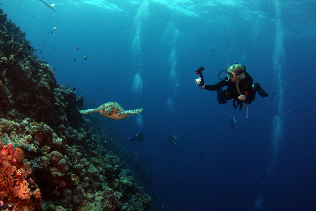 Man in Black Diving Suit in Water