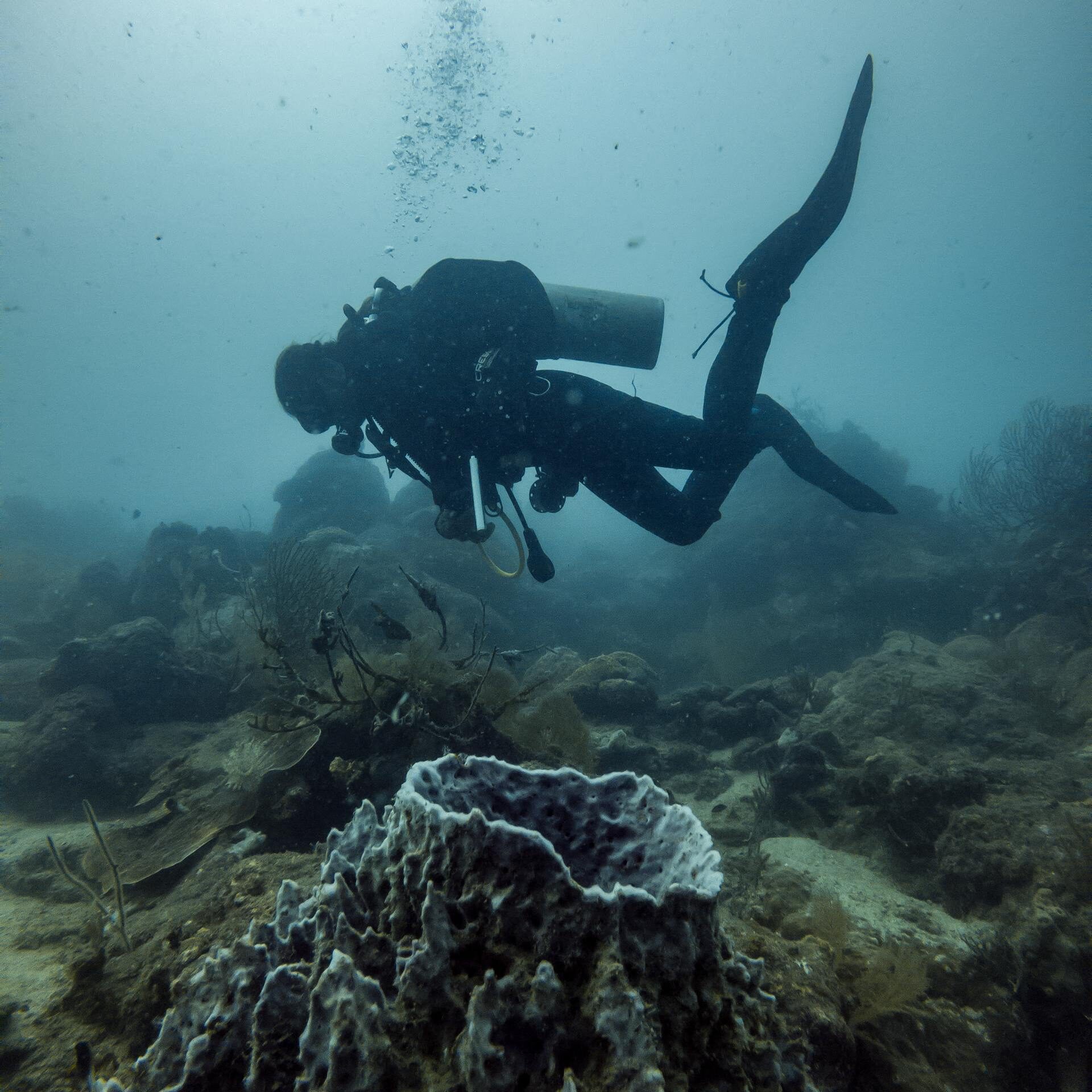 Scuba Diver Floating Above Volcano Shaped Coral Structure 